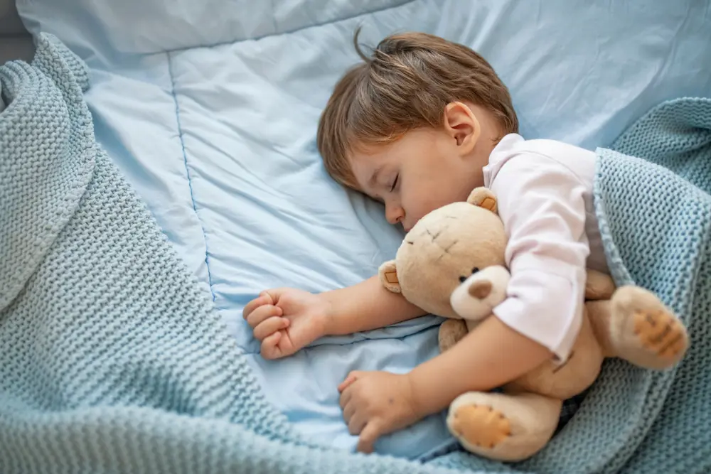 Shutterstock 1507918529